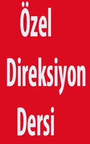 Özel Direksiyon Dersi
