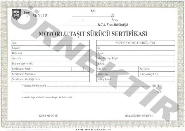 motorlu taşıt sürücü sertifikası örneği